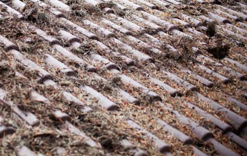 Charleston roof cleaning companies